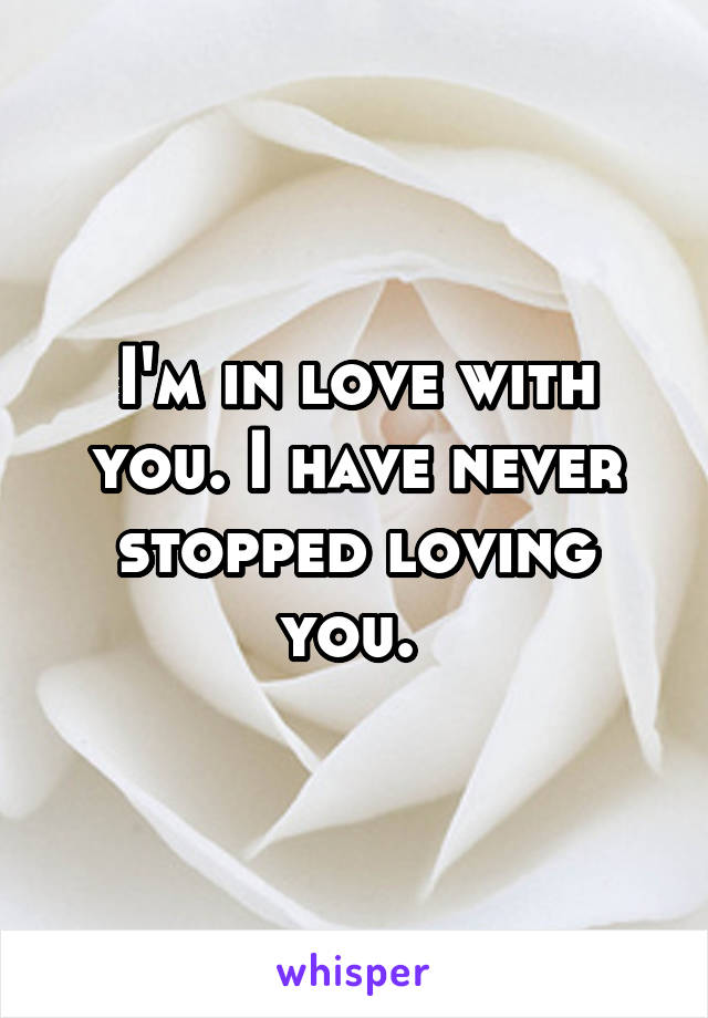 I'm in love with you. I have never stopped loving you. 