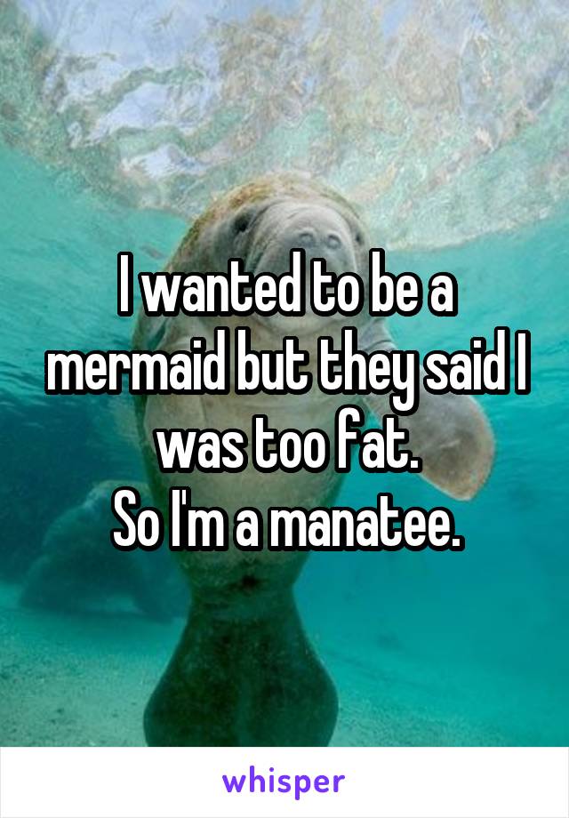 I wanted to be a mermaid but they said I was too fat.
So I'm a manatee.