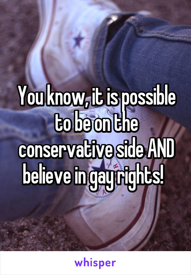 You know, it is possible to be on the conservative side AND believe in gay rights!  