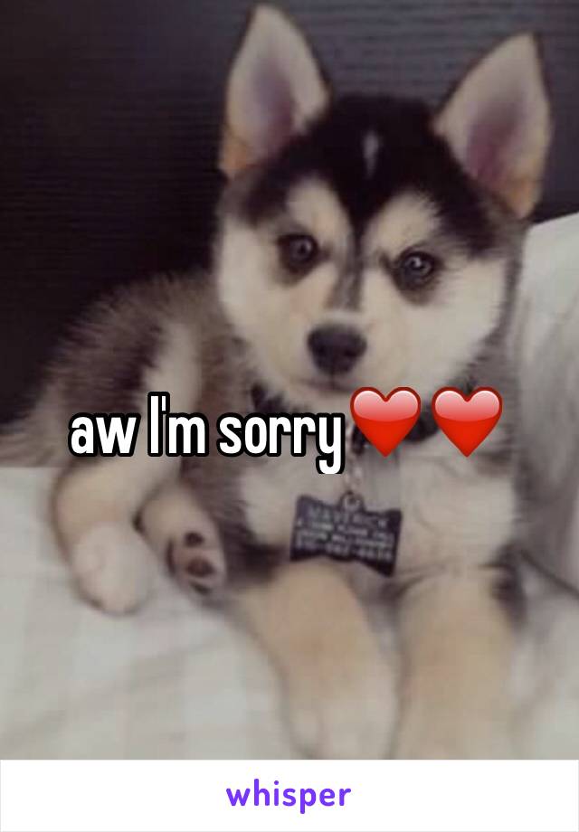 aw I'm sorry❤️❤️