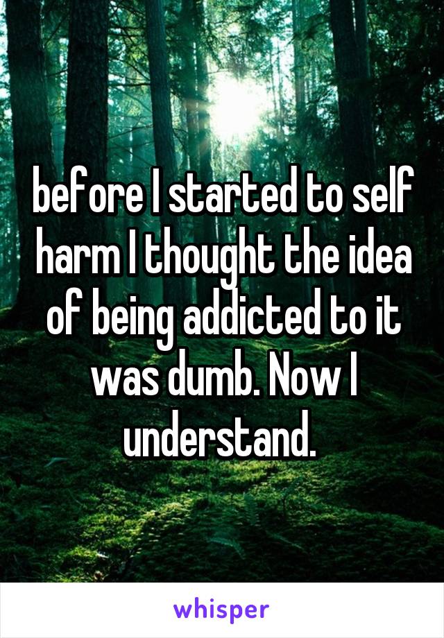 before I started to self harm I thought the idea of being addicted to it was dumb. Now I understand. 