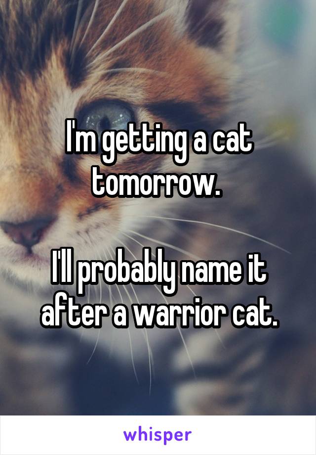 I'm getting a cat tomorrow. 

I'll probably name it after a warrior cat.