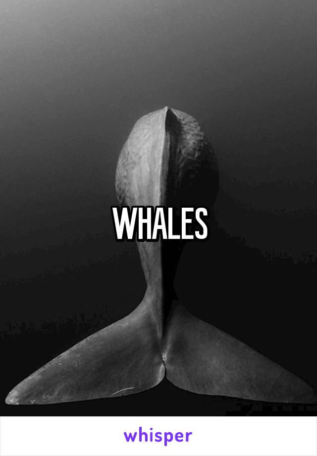 WHALES