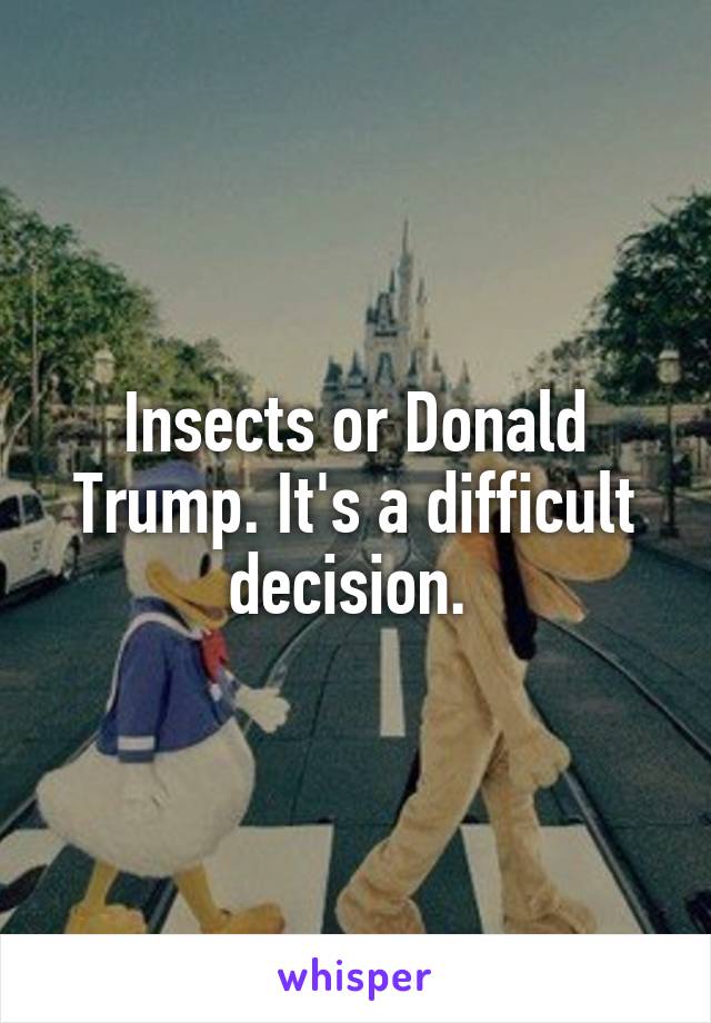 Insects or Donald Trump. It's a difficult decision. 