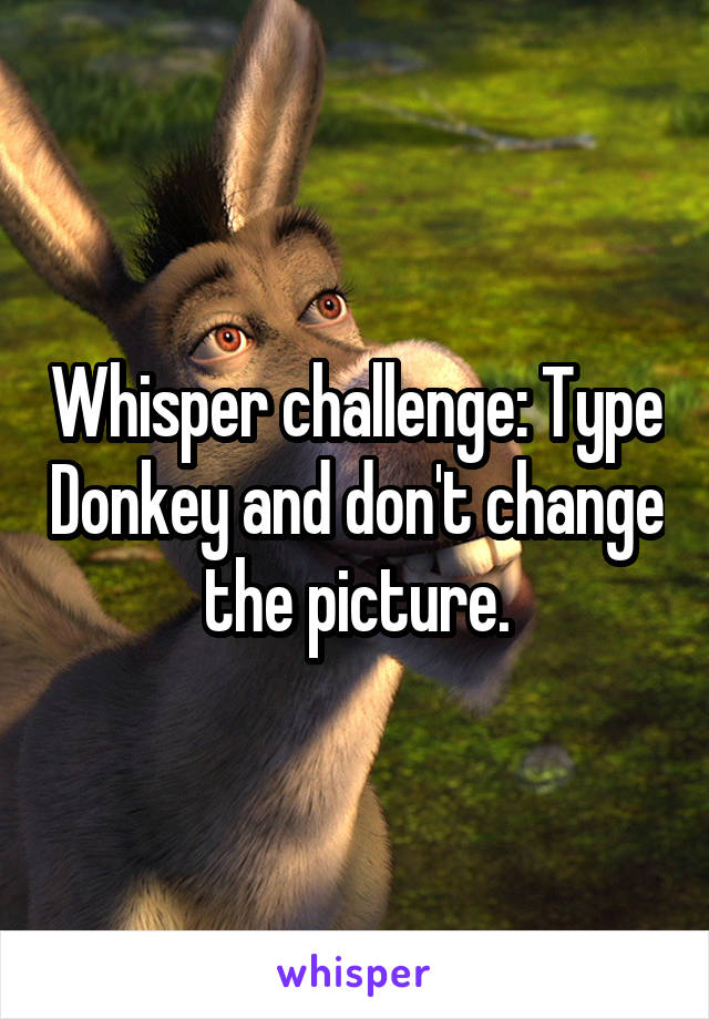 Whisper challenge: Type Donkey and don't change the picture.