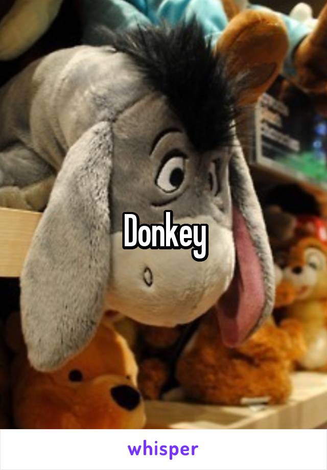 Donkey