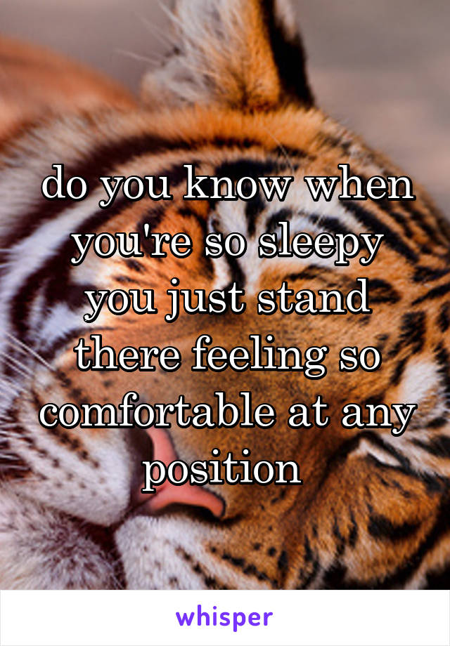 do you know when you're so sleepy you just stand there feeling so comfortable at any position 