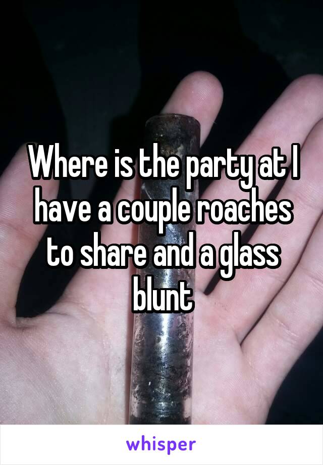 Where is the party at I have a couple roaches to share and a glass blunt