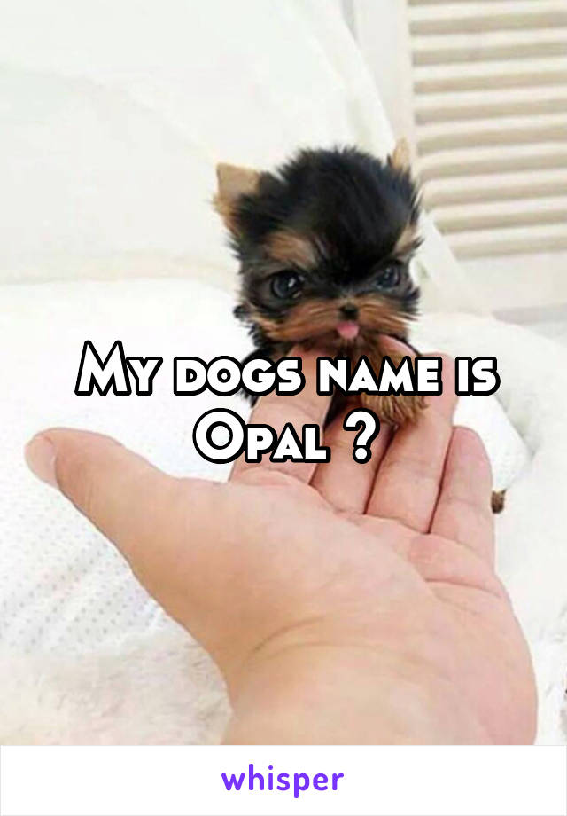 My dogs name is Opal 😭