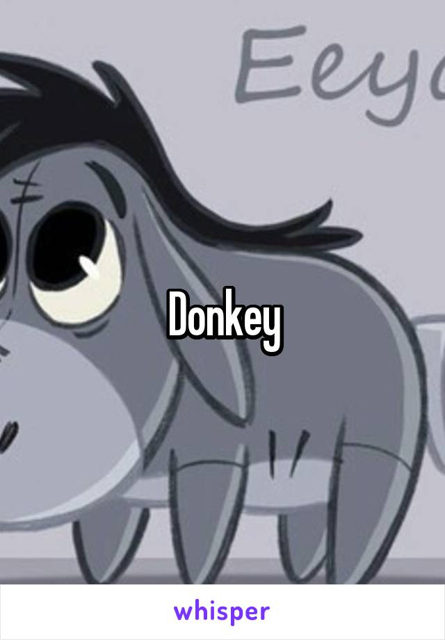 Donkey