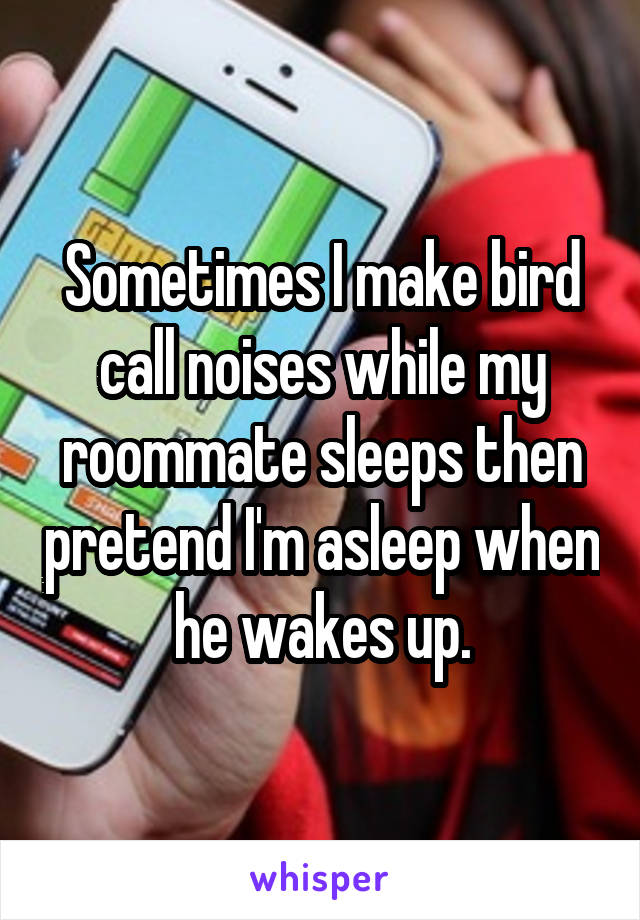 Sometimes I make bird call noises while my roommate sleeps then pretend I'm asleep when he wakes up.