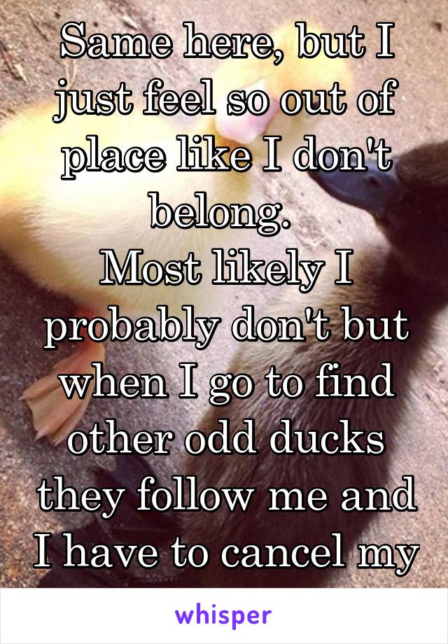 Same here, but I just feel so out of place like I don't belong. 
Most likely I probably don't but when I go to find other odd ducks they follow me and I have to cancel my plans. 