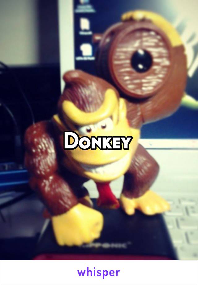 Donkey 