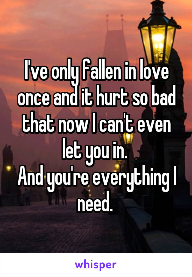 I've only fallen in love once and it hurt so bad that now I can't even let you in. 
And you're everything I need. 