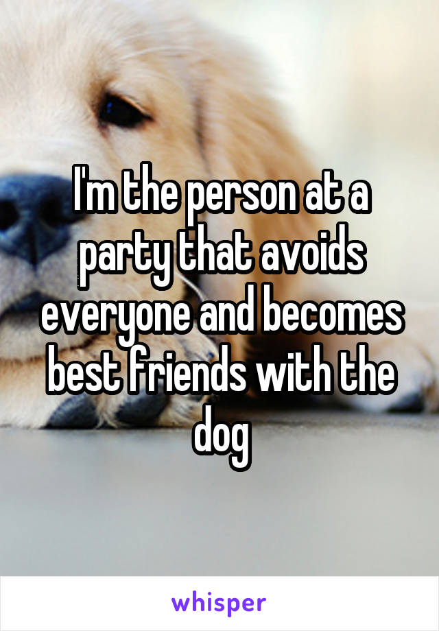 I'm the person at a party that avoids everyone and becomes best friends with the dog