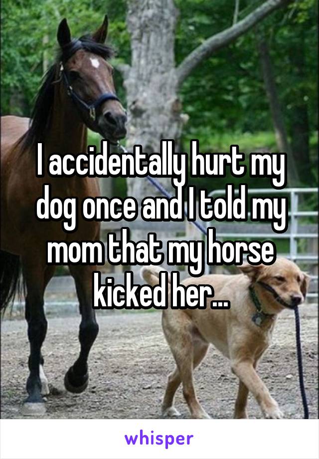 I accidentally hurt my dog once and I told my mom that my horse kicked her...