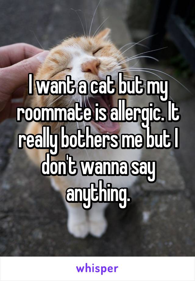 I want a cat but my roommate is allergic. It really bothers me but I don't wanna say anything.