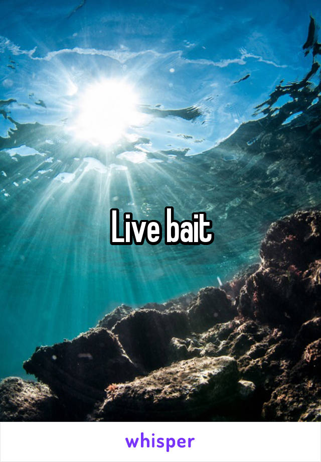 Live bait