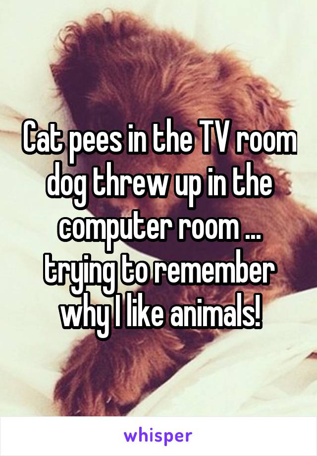 Cat pees in the TV room dog threw up in the computer room ... trying to remember why I like animals!