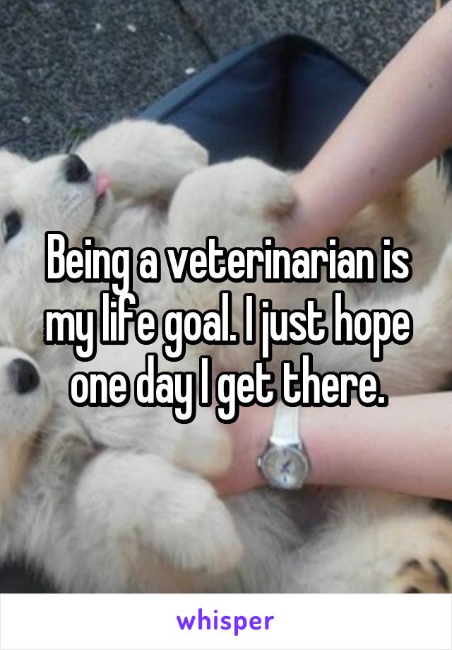 Being a veterinarian is my life goal. I just hope one day I get there.