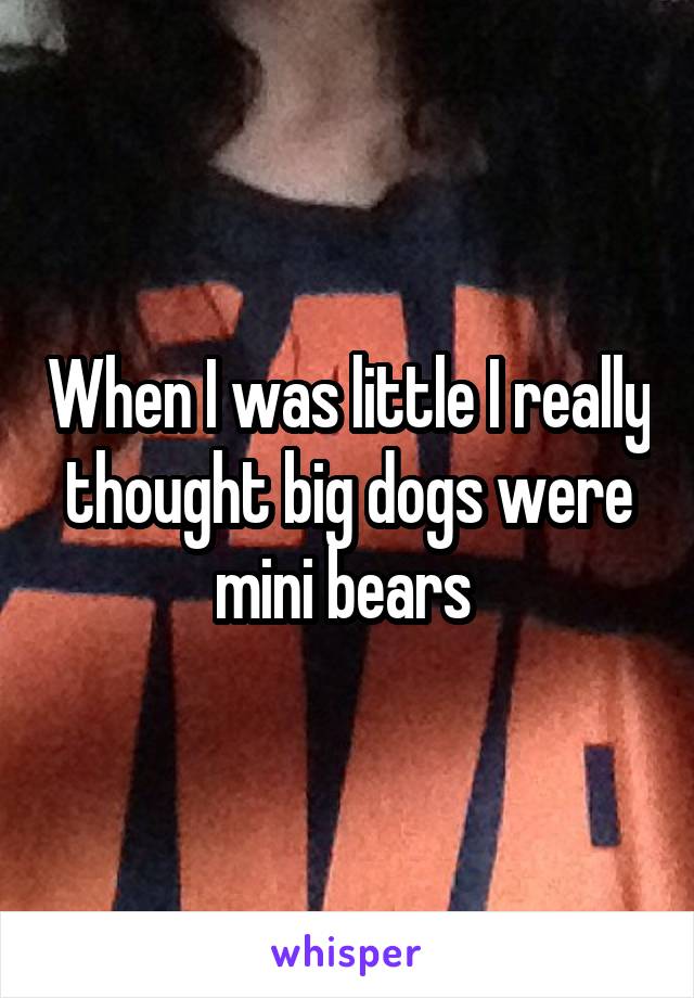 When I was little I really thought big dogs were mini bears 