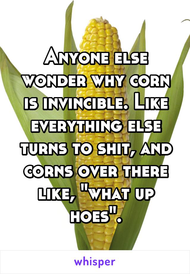 Anyone else wonder why corn is invincible. Like everything else turns to shit, and corns over there like, "what up hoes".