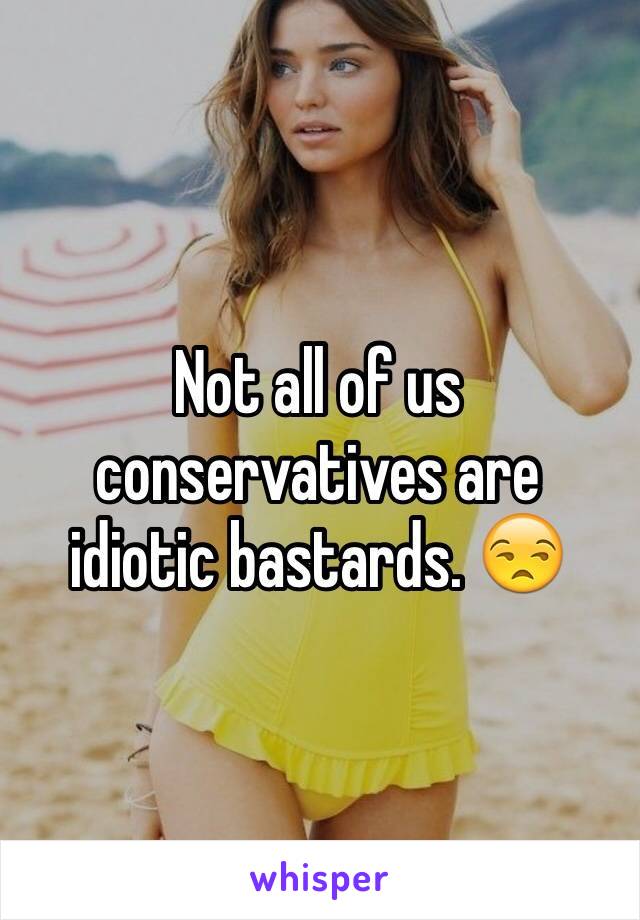 Not all of us conservatives are idiotic bastards. 😒