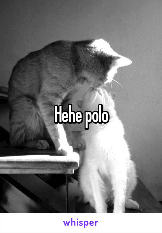 Hehe polo