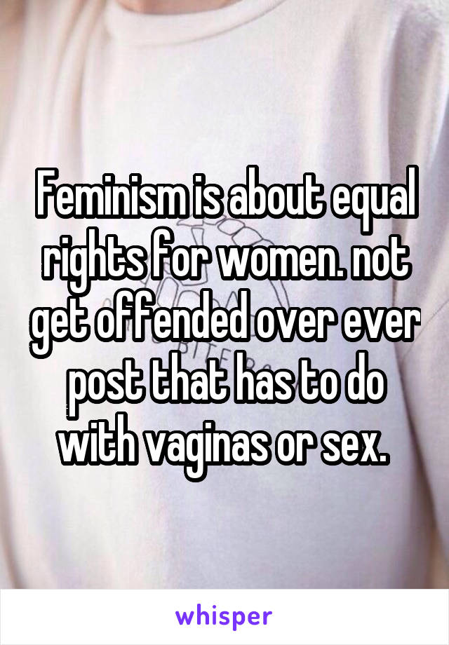 Feminism is about equal rights for women. not get offended over ever post that has to do with vaginas or sex. 