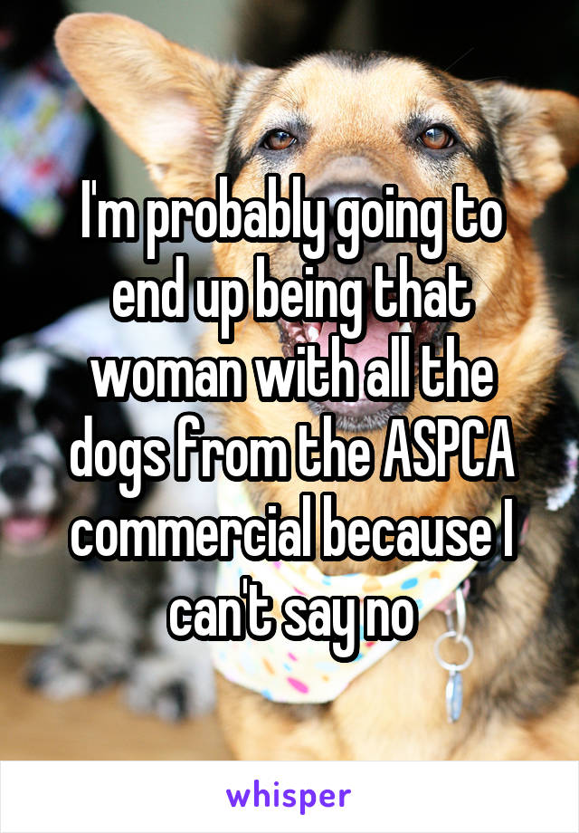 I'm probably going to end up being that woman with all the dogs from the ASPCA commercial because I can't say no