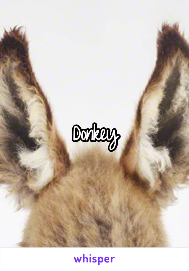 Donkey