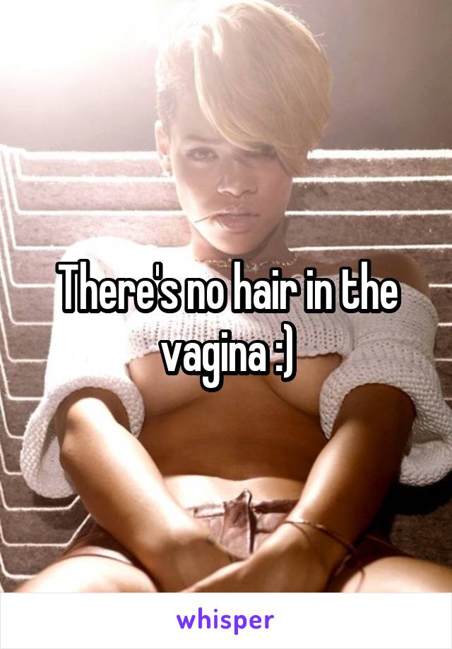 There's no hair in the vagina :)