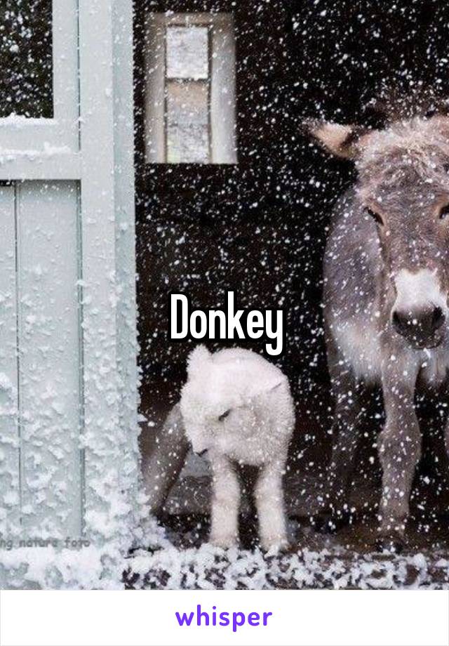 Donkey