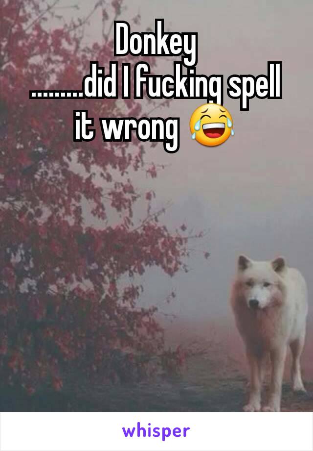 Donkey
.........did I fucking spell it wrong 😂