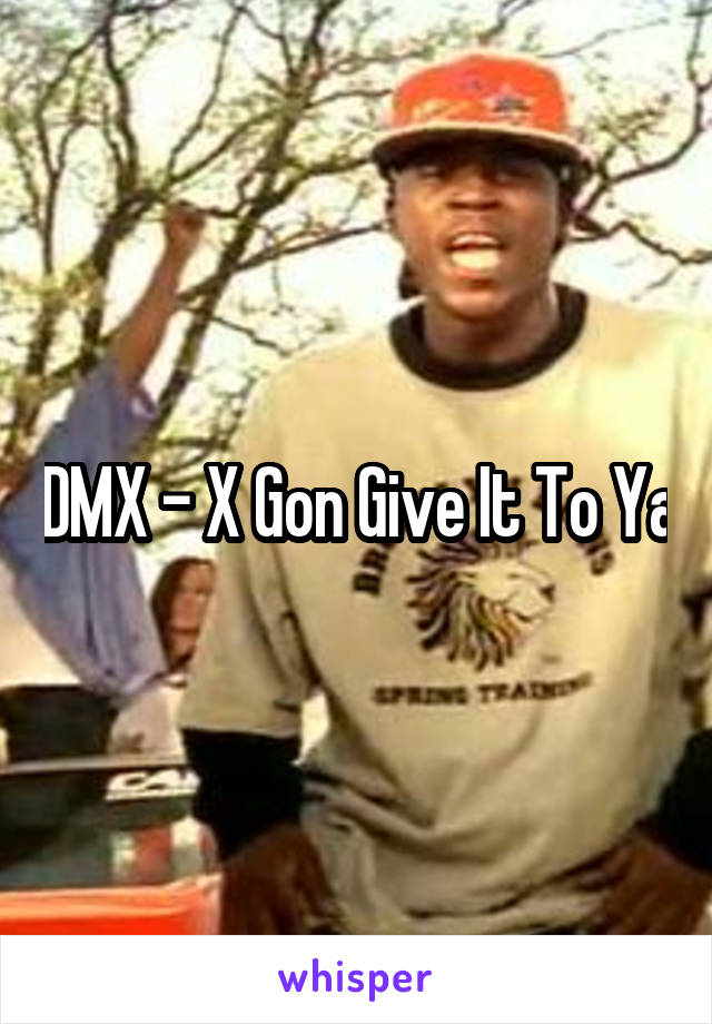 DMX - X Gon Give It To Ya