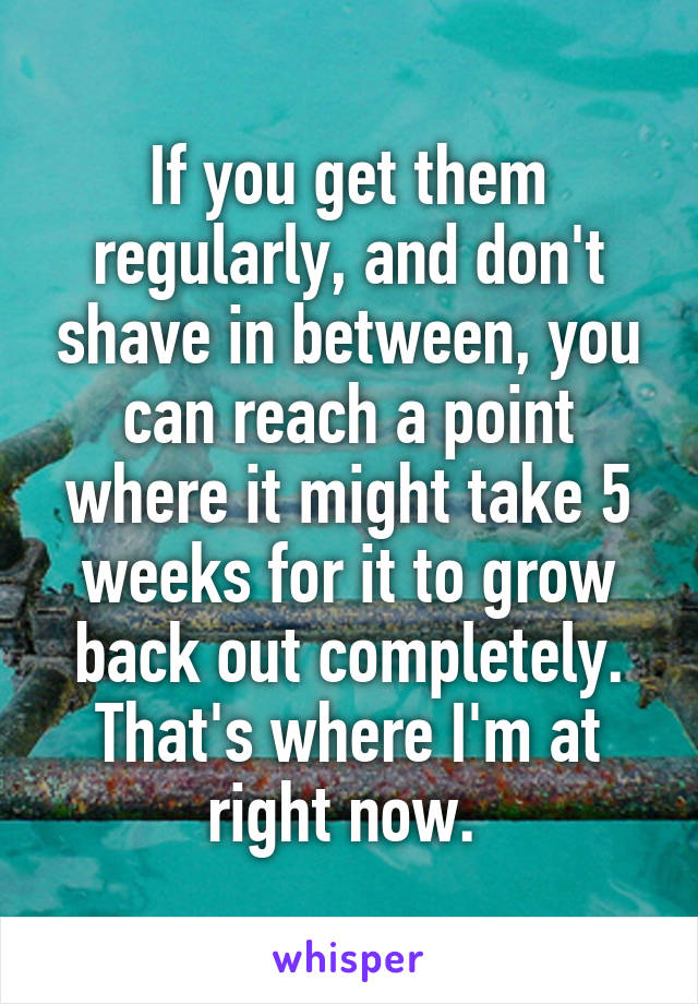 If you get them regularly, and don't shave in between, you can reach a point where it might take 5 weeks for it to grow back out completely. That's where I'm at right now. 