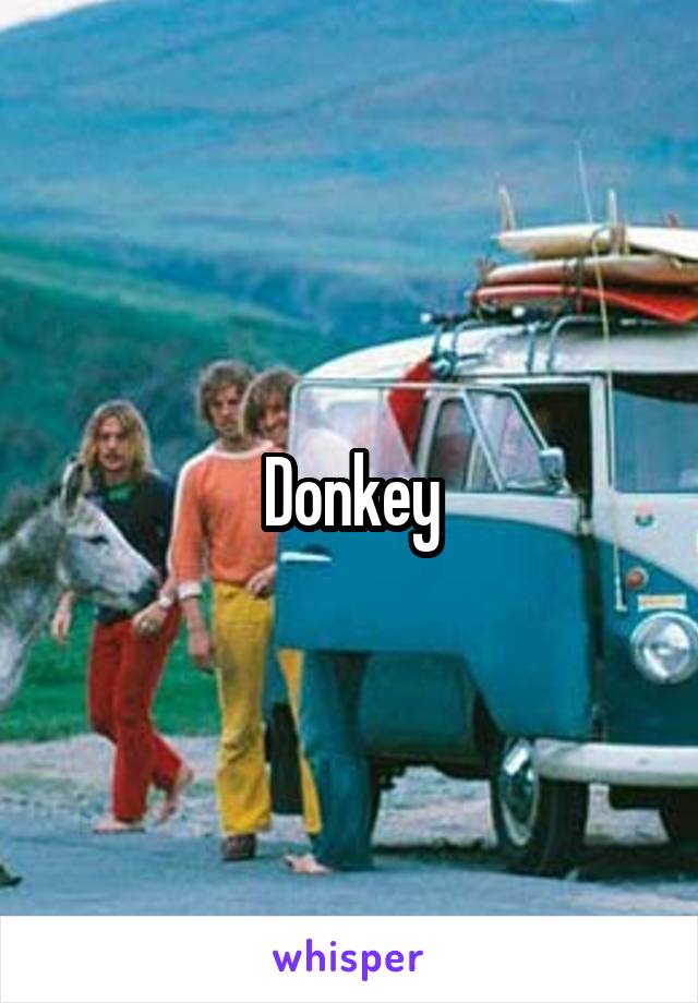 Donkey