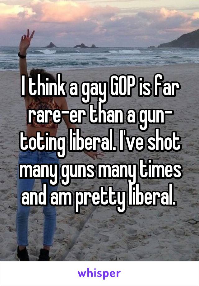 I think a gay GOP is far rare-er than a gun- toting liberal. I've shot many guns many times and am pretty liberal. 