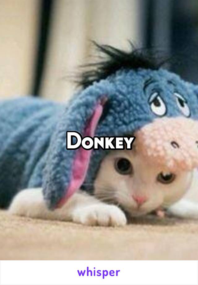 Donkey