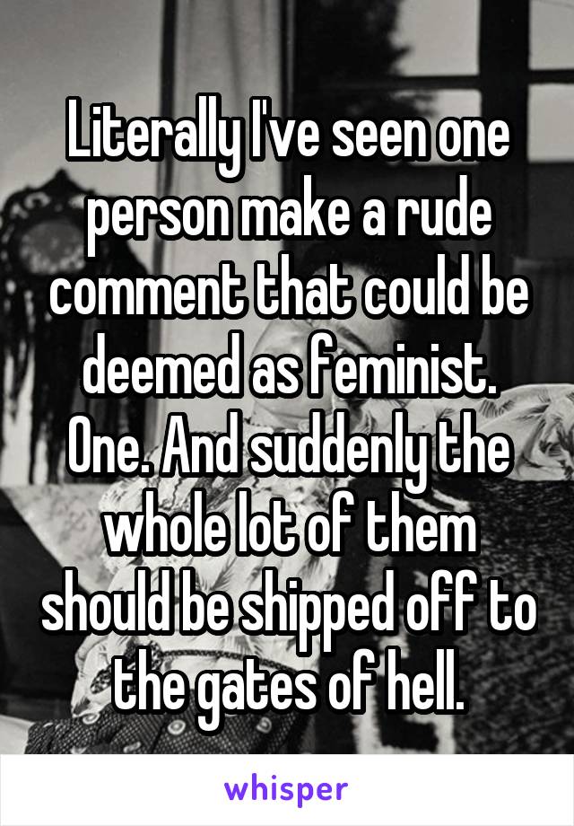 Literally I've seen one person make a rude comment that could be deemed as feminist. One. And suddenly the whole lot of them should be shipped off to the gates of hell.