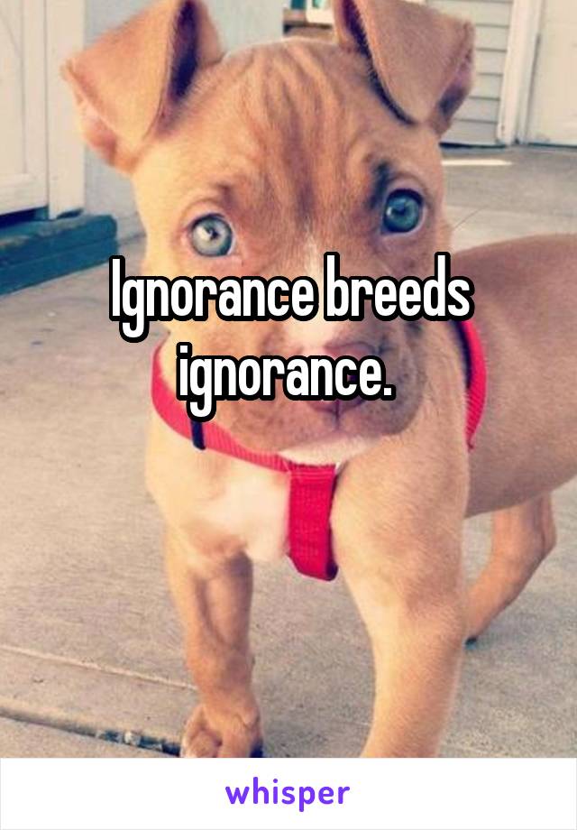 Ignorance breeds ignorance. 

