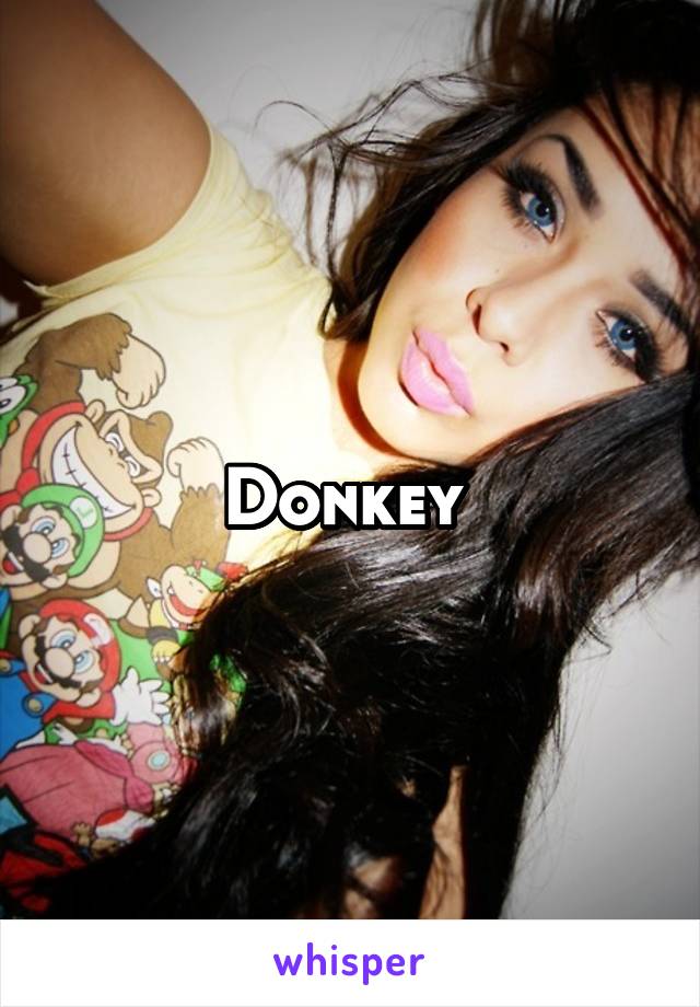 Donkey 