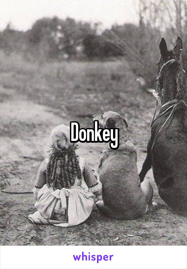 Donkey