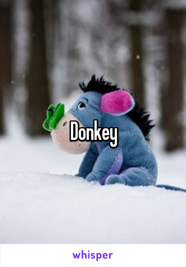 Donkey