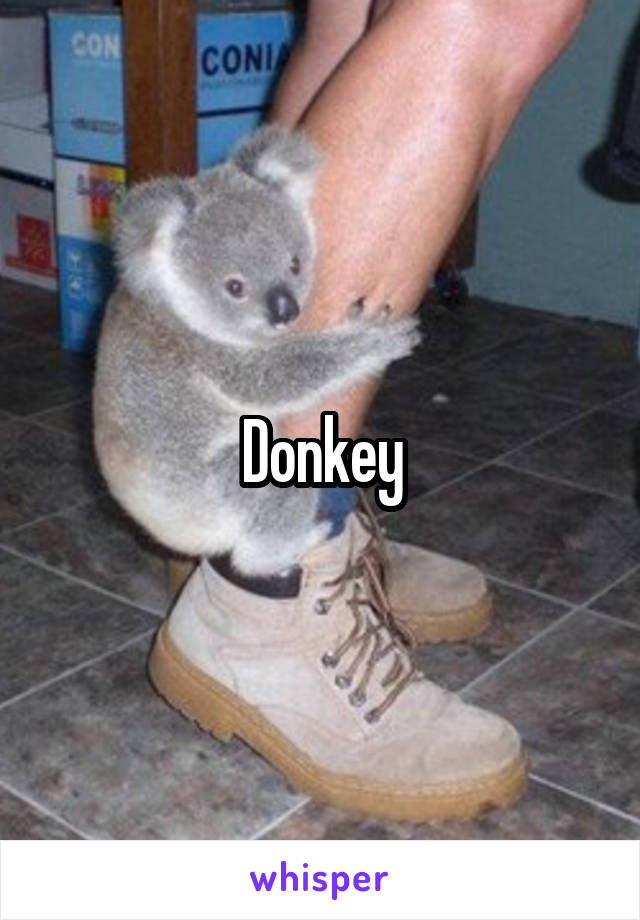 Donkey