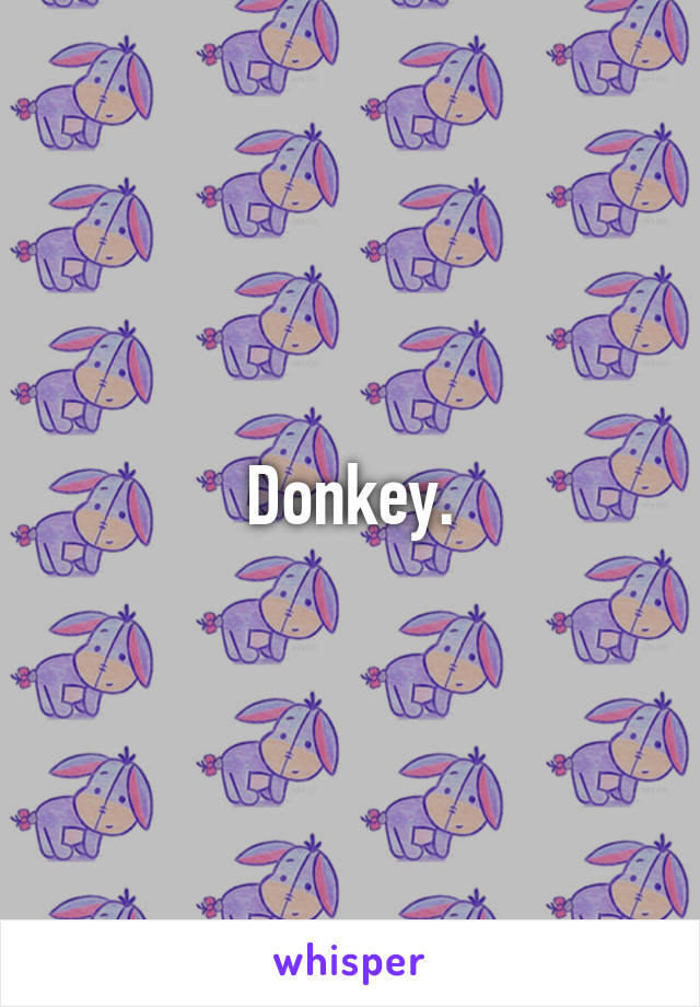 Donkey.