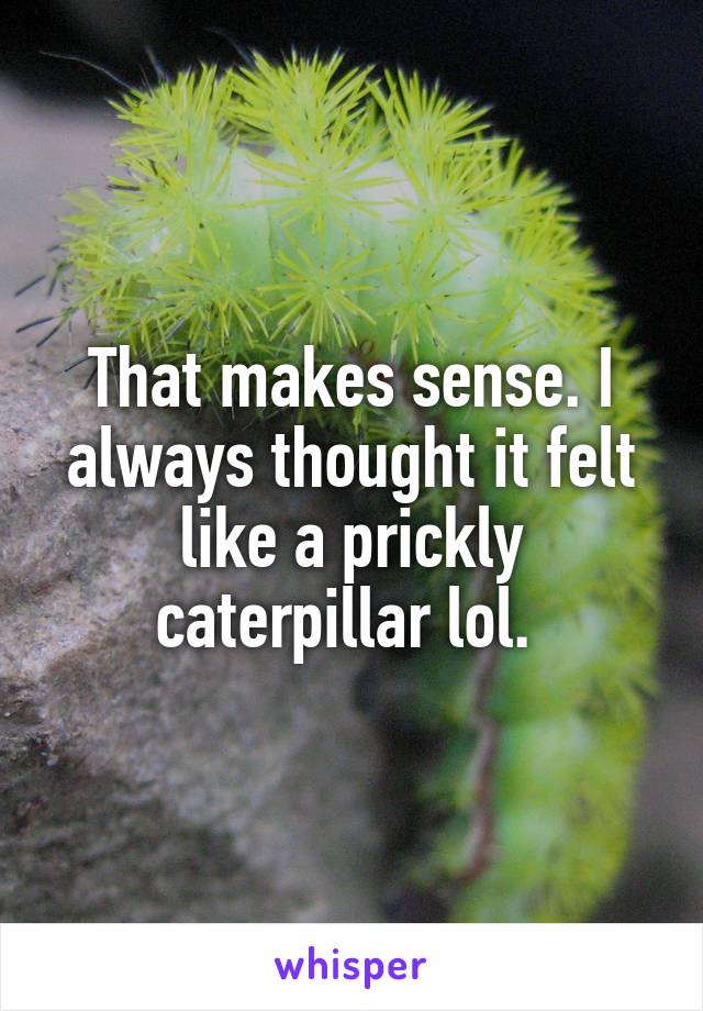 That makes sense. I always thought it felt like a prickly caterpillar lol. 