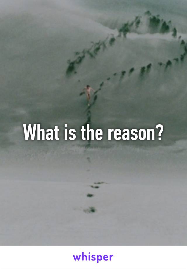 What is the reason?