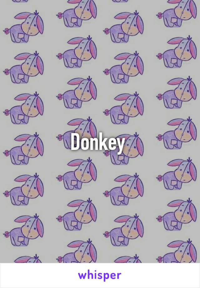 Donkey 