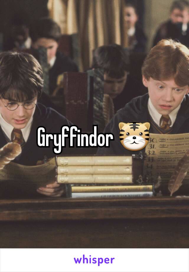Gryffindor 🐯